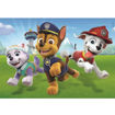 Picture of Clementoni Jigsaw Puzzle Paw Patrol  2 X 20 Pcs